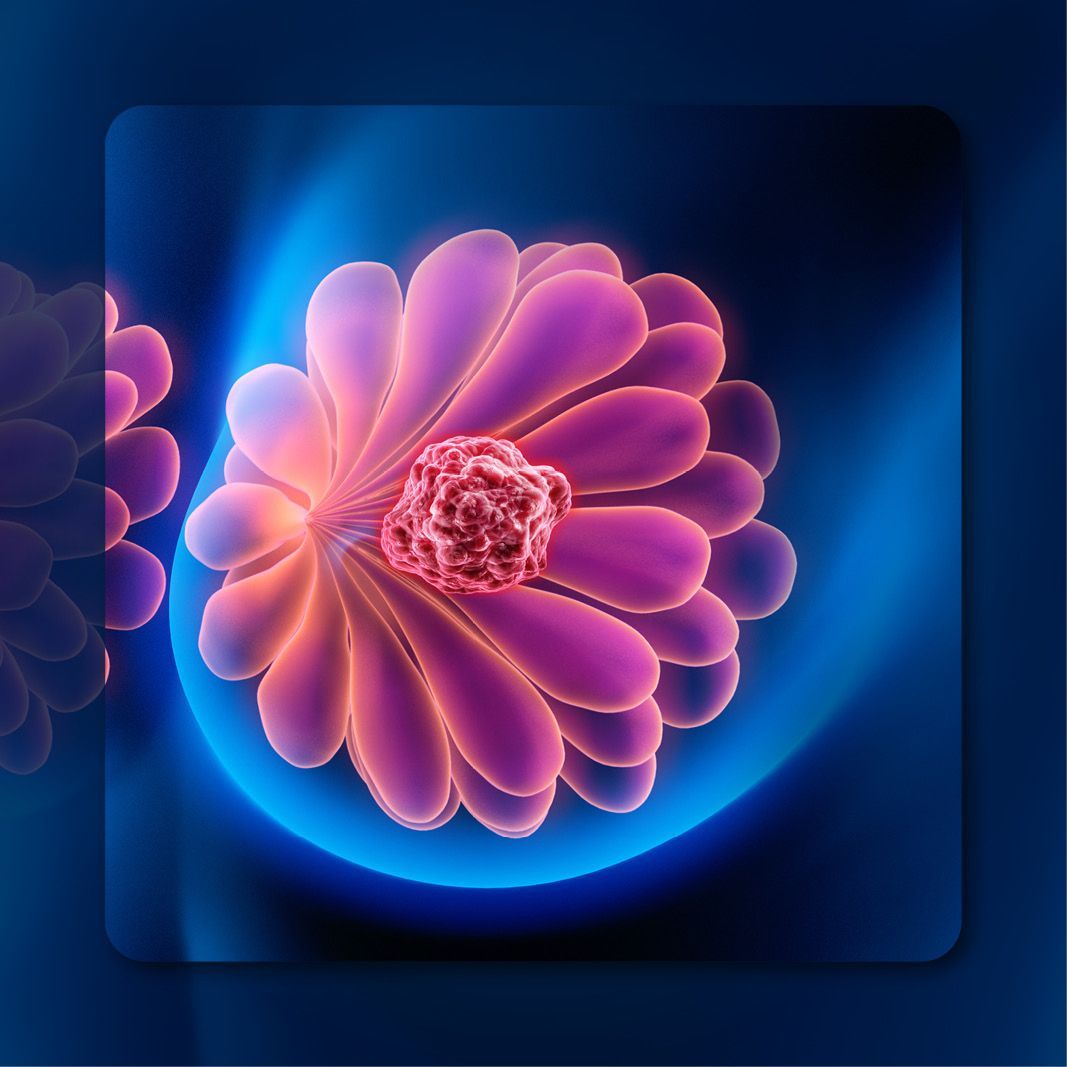 Lasofoxifene in Breast Cancer | Image Credit: © Sebastian Kaulitzki – stock.adobe.com