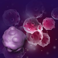 Treatment with adjuvant capecitabine following concurrent chemoradiotherapy resulted in superior failure-free survival compared with observation and CRT for patients with locally advanced nasopharyngeal carcinoma carrying at least 2 high risk factors.