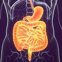 Panitumumab Plus FOLFIRINOX or mFOLFOX6 in mCRC | Image Credit: © PIC4U - stock.adobe.com
