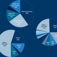 Despite Progress, More Actionable Mutations Needed in Lung Cancer | OncLive