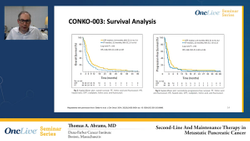 Second-Line And Maintenance Therapy in Metastatic Pancreatic Cancer