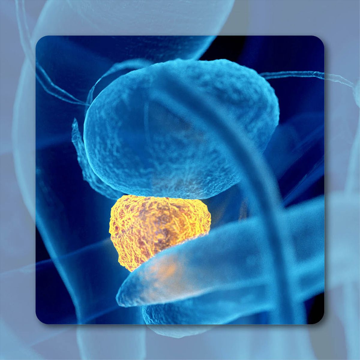 Darolutamide Provides Clinical Benefits vs Other AR Inhibitors in Black ...