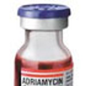 Effectiveness of Adriamycin Questioned in the Treatment of Patients With HER2-Positive Breast Cancer