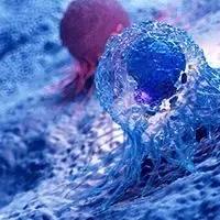 Melanoma | Image Credit:   © SciePro - stock.adobe.com