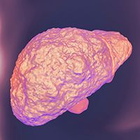 Kateryna_Kon – stock.adobe.com