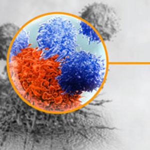 Sponsored Content: The Changing Paradigm of Cancer Research