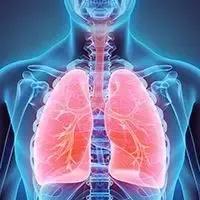non–small cell lung cancer | Image Credit: © yodiyim - stock.adobe.com