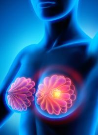 KAT6 Inhibition in ER+ Breast Cancer | Image Credit: © peterschreiber.media - stock.adobe.com