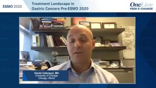 Treatment Landscape in Gastric Cancers Pre-ESMO 2020