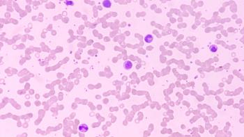 Image of bone marrow cells