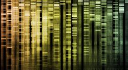 Cancer and Genetic Testing: Expert Answers Common Questions