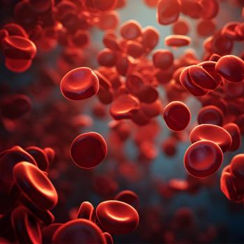 Image of red blood cells
