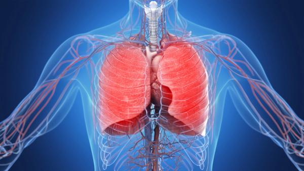 Image of inflamed lungs