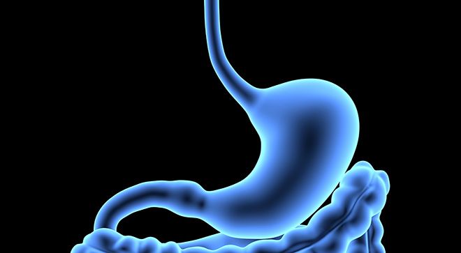 Blue highlighted image of gastrointestinal tract with stomach in focus