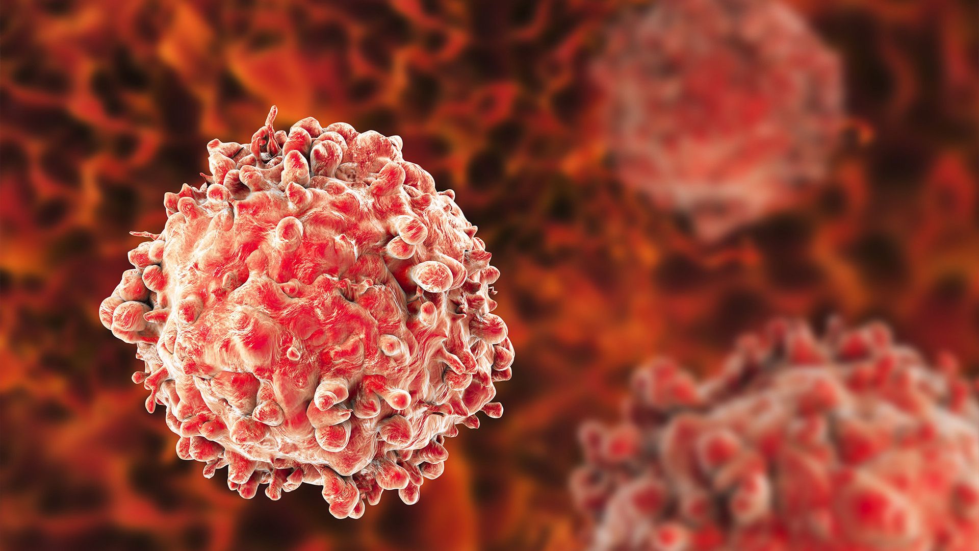 Image of a leukemia cell