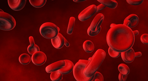 Image of blood cells