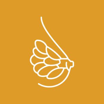 Line illustration of a breast on a yellow background