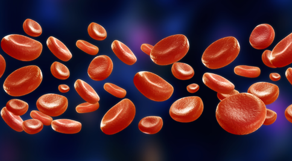 Image of red blood cells