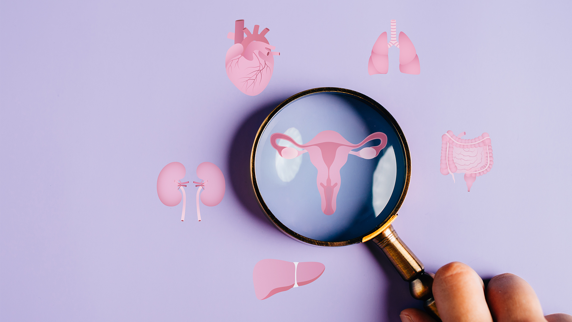 Graphic of icons of organs with a magnifying glass over the female reproductive system