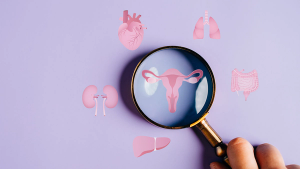 Graphic of icons of organs with a magnifying glass over the female reproductive system