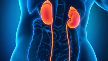 a blue and black graphic of the body with the urothelium highlighted