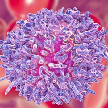Image of a leukemia cell
