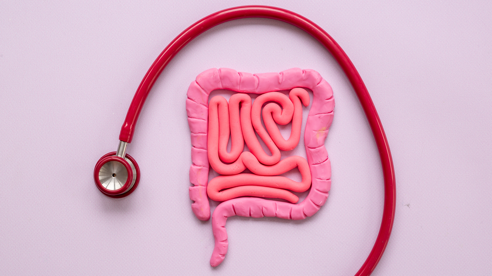 Image of a clay model of the GI tract surrounded by a stethoscope on a pink background