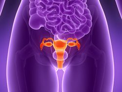 Adjuvant Chemo Does Not Improve Survival in Locally Advanced Cervical Cancer