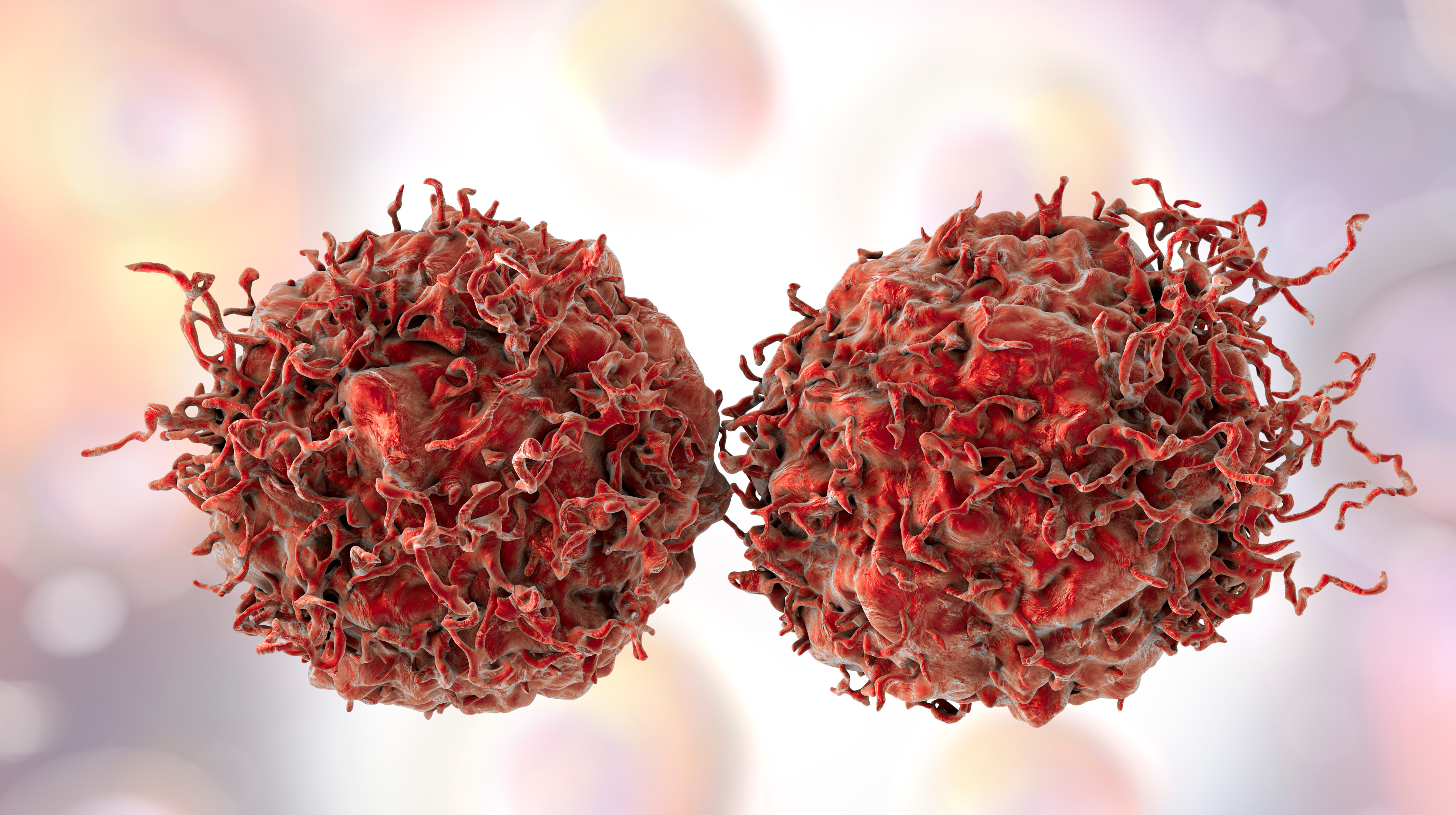 prostate cancer © adobe-stock.com