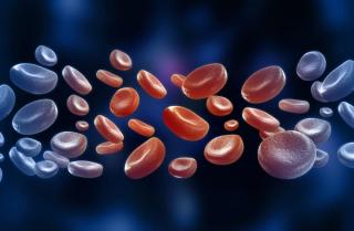 Recent Advances in Leukemia Treatment Continue to Improve Patient Outcomes