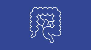 dark blue background with a white outline indicating the gastrointestinal system