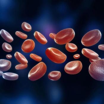 Image of blood cells