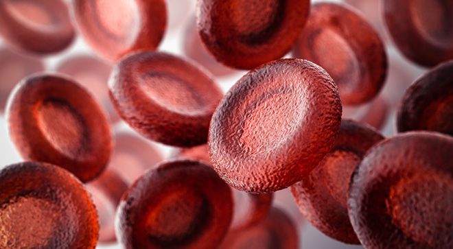 Graphic depicting blood cells
