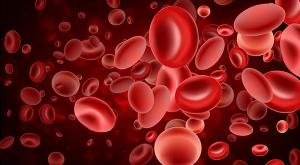 Myeloma Treatment Landscape Continues to Change