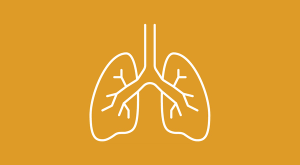 Tremelimumab/Durvalumab Plus Chemo Improves Survival in Metastatic NSCLC