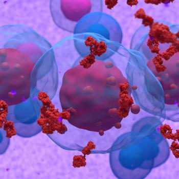 Graphic of myeloma cells