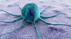 Pembrolizumab Plus Bevacizumab and Cyclophosphamide Shows Promising Efficacy, Tolerability in Recurrent Ovarian Cancer
