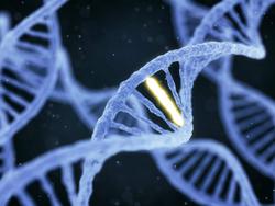 Genomic Alterations in Primary Breast Cancer May Increase Risk of Secondary Uterine Cancer in Patients Receiving Tamoxifen