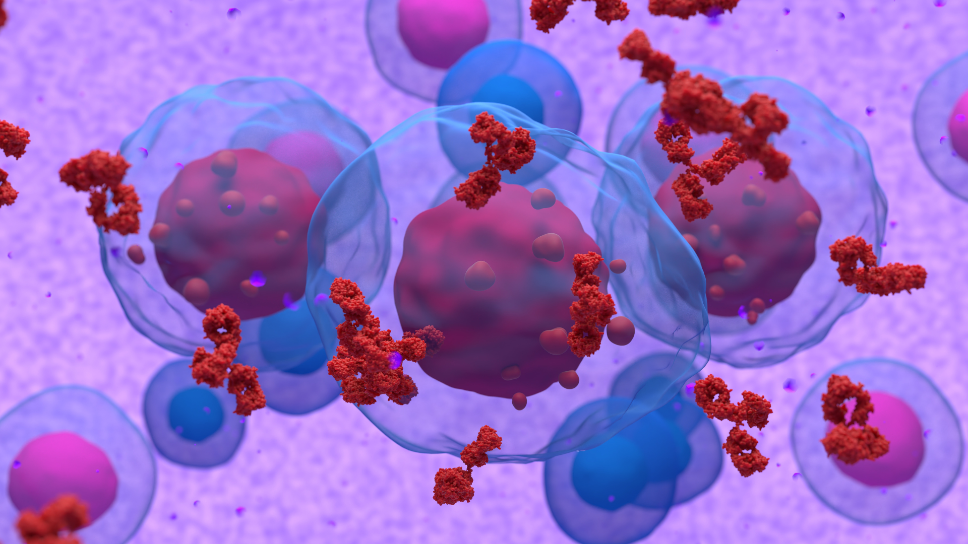 Graphic depicting multiple myeloma cells in the bloodstream