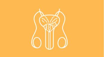 prostate cancer