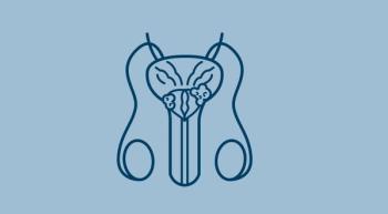 prostate/GU system