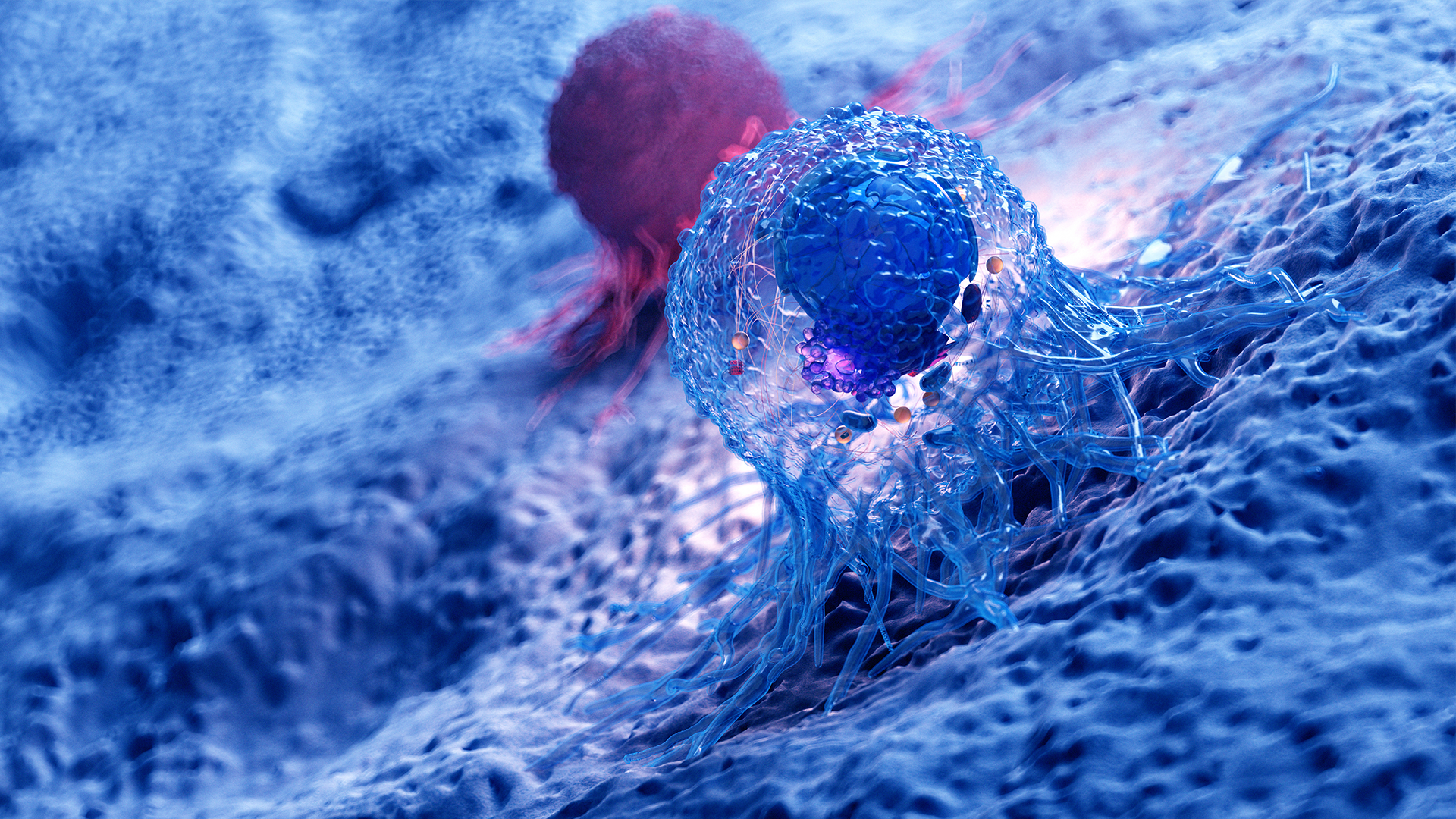cancer cell © SciePro -adobestock.com