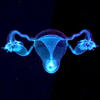Graphic of the female reproductive system