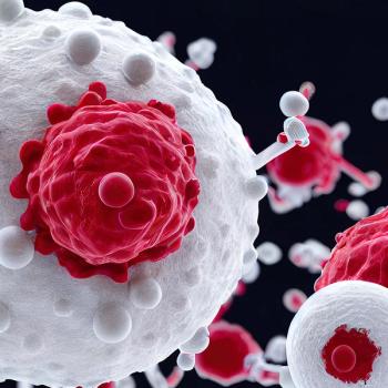 Image of a B cell