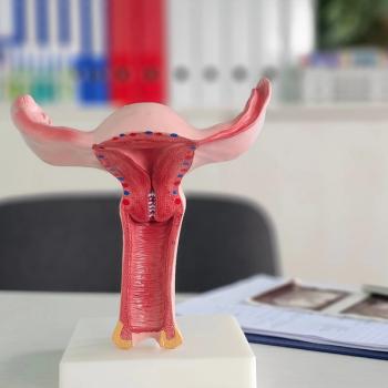 Image of an anatomical figure on a desk of the female reproductive system
