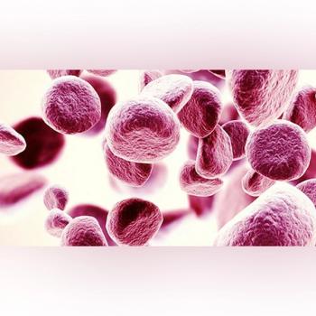 Image of red blood cells