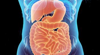 Anatomical diagram of a person with the gastrointestinal tract highlighted in orange