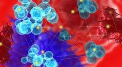 Patient Characteristics Linked to Time on Treatment and Survival in Patients With mCRC Receiving Cetuximab