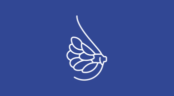 Line illustration of a breast with tissue on a cerulean background