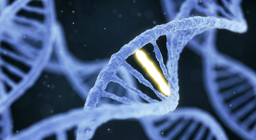 mutation